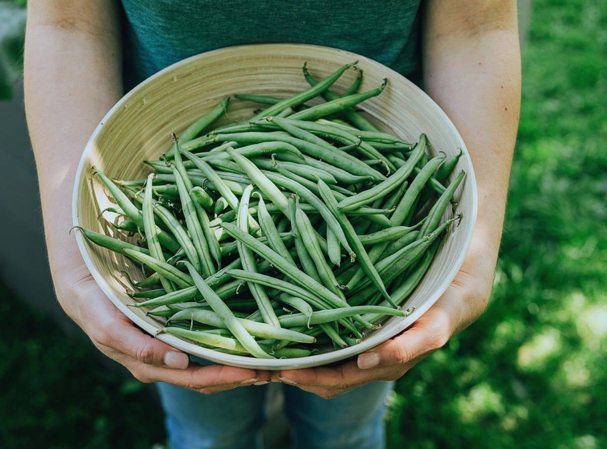 Grüne Bohnen