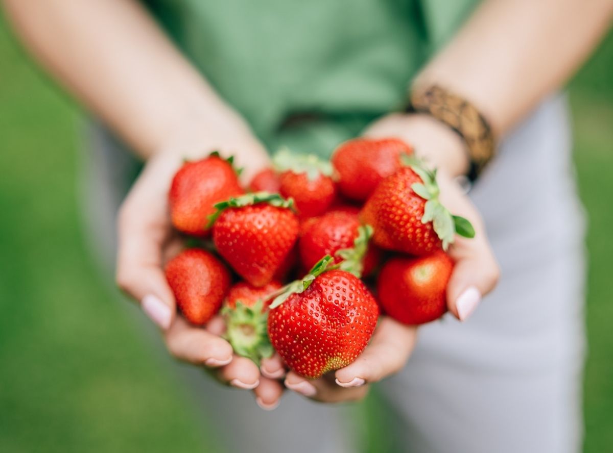 Erdbeeren - gesunde Nascherei für Kinder & Familie