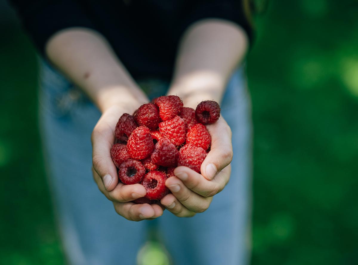 Himbeere – gesunde Nascherei für Kinder