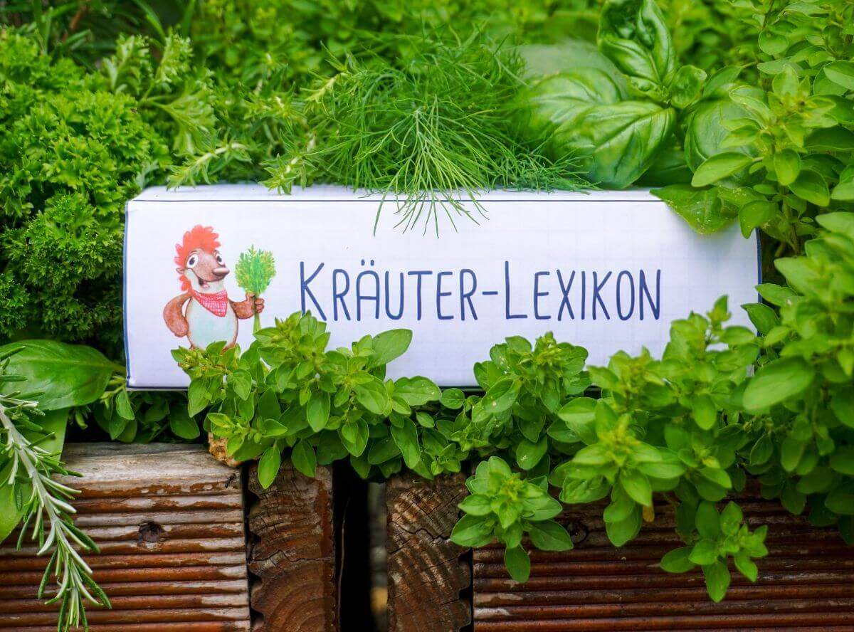 Kr&auml;uterlexikon