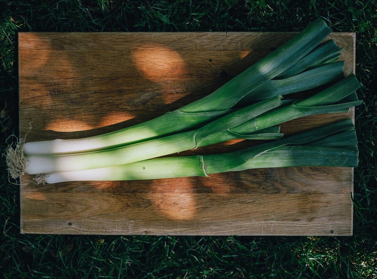 Lauch & Porree| die besten Rezeptideen für Kinder