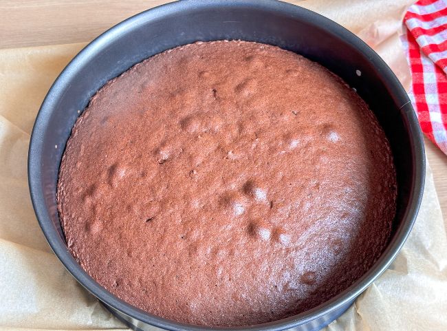 Maulwurfkuchen backen