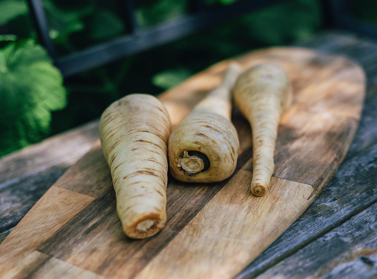 Pastinake: Alles zur tollen Knolle