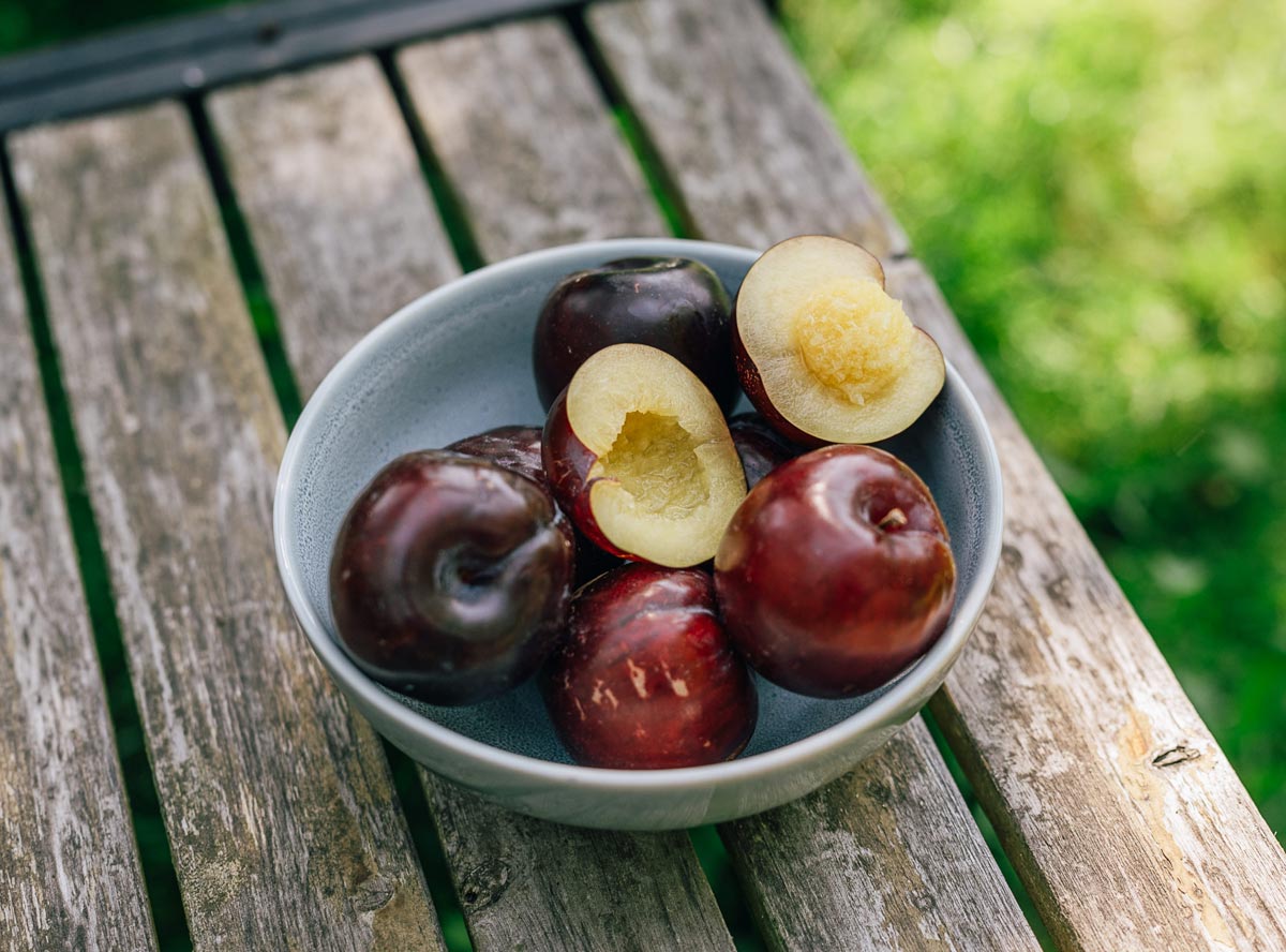Pflaume - unscheinbar aber super gesund