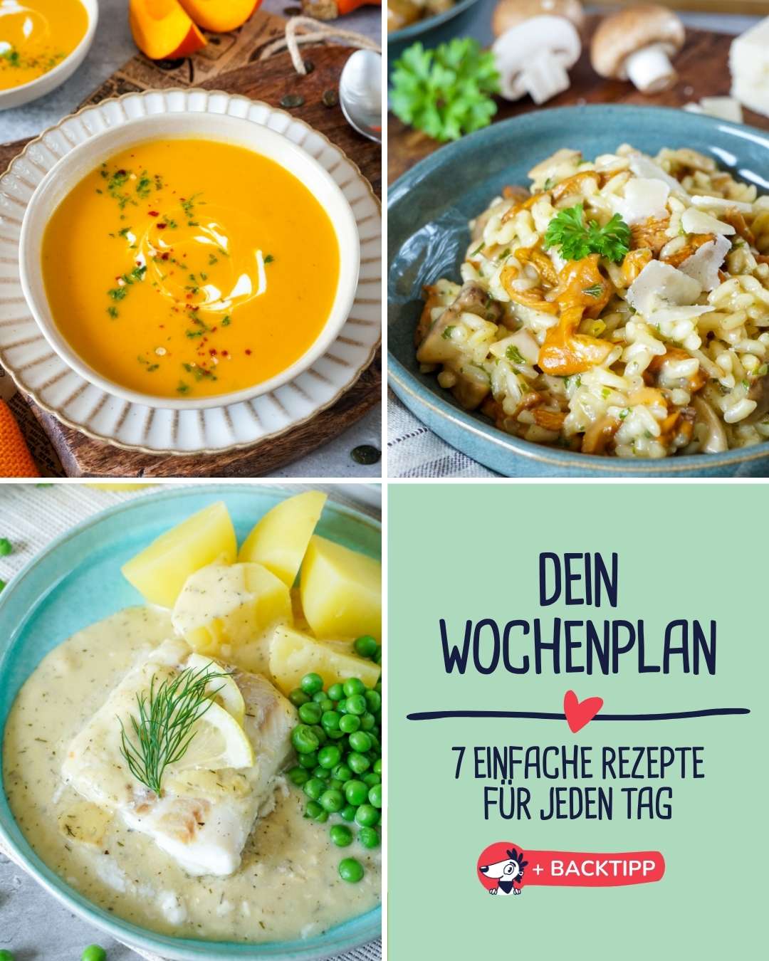 Wochenplan vom 14.09.2026 bis 20.09.2026 Wochenplan vom 14.09.2026 bis 20.09.2026